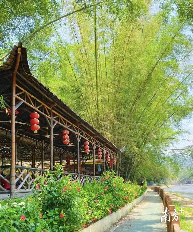 碧水兴潮安：玩水的人多了，村里富了！