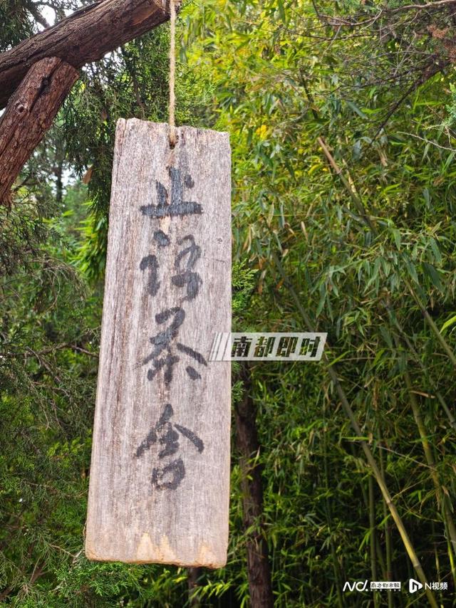 实探经历掌门变换的少林寺和白马寺