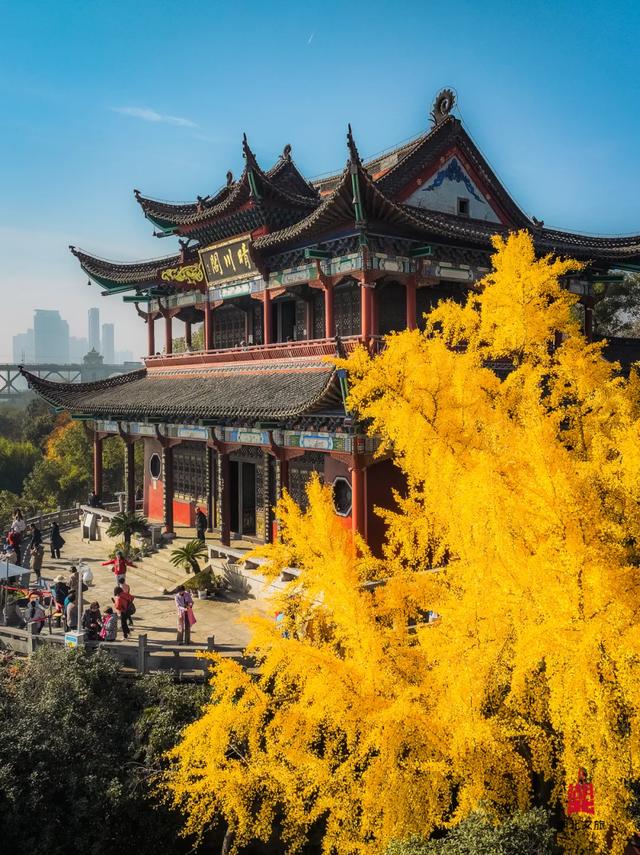 倒计时3天！接下来的湖北是这样的！