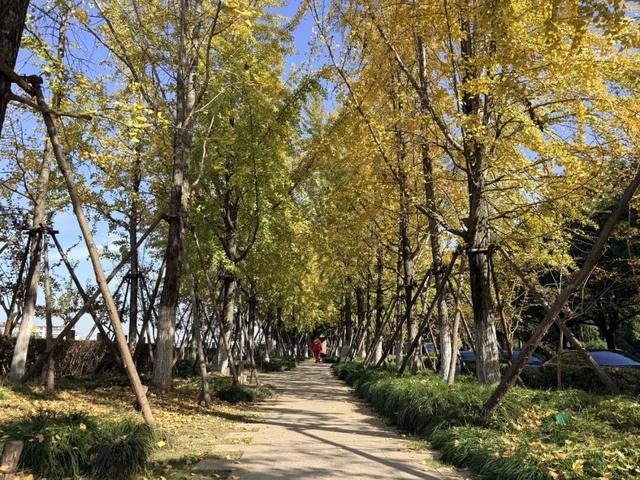 守护“限定浪漫”！诸暨8处，安排上了！