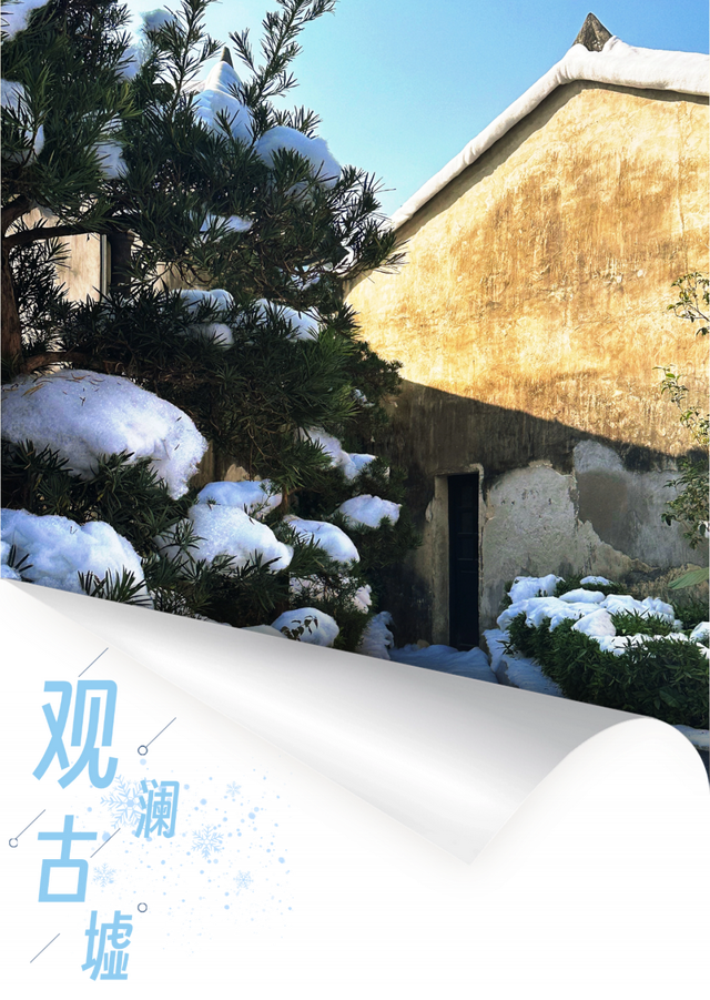 来龙华，看冬天“第一场雪”