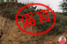 一地有群狼出没？警方回应图片