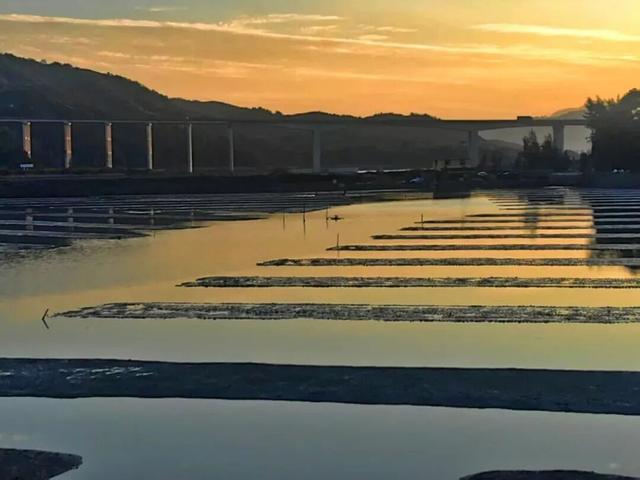 为了在这打卡，特意去了趟前岐！