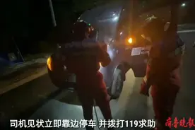 果然视频|正开着车呢，一条长蛇从挡风玻璃处钻出……图片