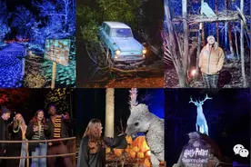 哈迷注意！哈利波特禁忌森林之旅要来新加坡啦图片