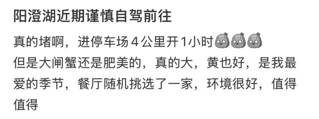 沪牌大军集体出动！这里堵车堵到猪肝红！出门导航1个半小时，实际开车4小时