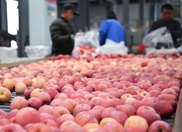 下一站	，延安！