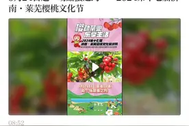 大众号观察｜解读多姿多彩的“新莱芜”图片