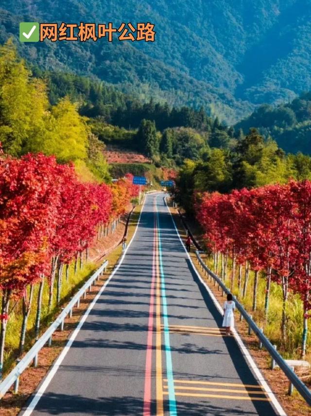 江西秋日自驾天花板，这几条公路带你驶入最美秋色！