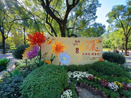 2025上海菊花展在共青森林公园举办 攻略请收好