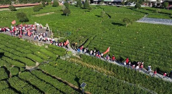 【2025年遂川文旅工作亮点】这一年！遂川文旅实力“圈粉”~