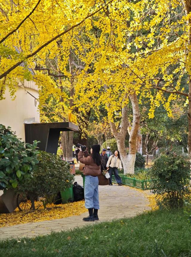 开福上新色：捕捉开福黄调时刻