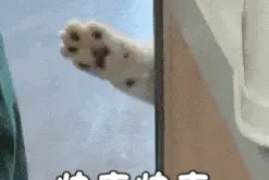 广州南站⇄广州站，即将打通！图片