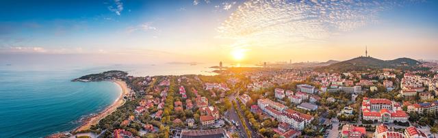 冬日青岛“追鸥逐浪”的N种可能