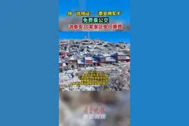 即日起，这些人可免费乘公交，游览泰山等30家景区免门票费！图片