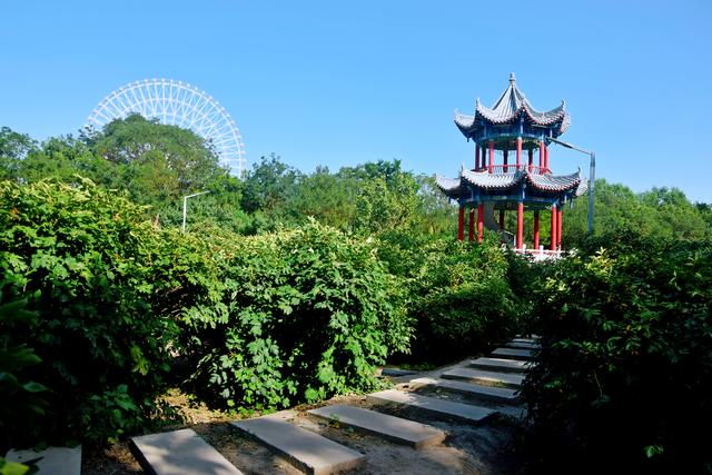 组图丨凉州植物园的秋日浪漫