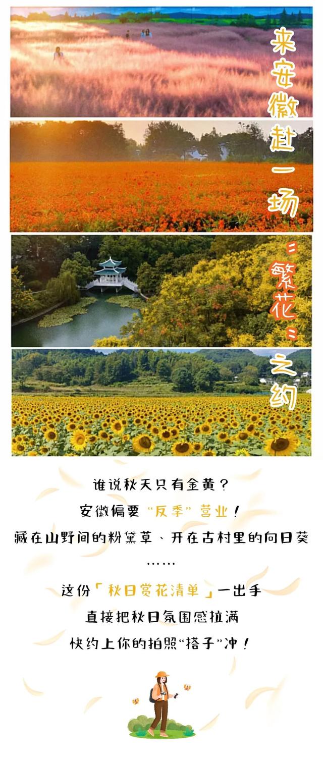 别只惦记红叶了！安徽的秋天，是五彩斑斓的！