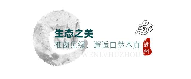 在湖州，最幸福（一）