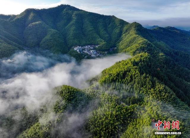 安徽黟县：雨后竹海云雾缭绕似仙境