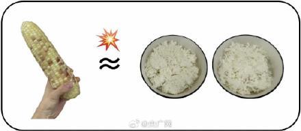 玉米是所有粗粮里最会骗人的