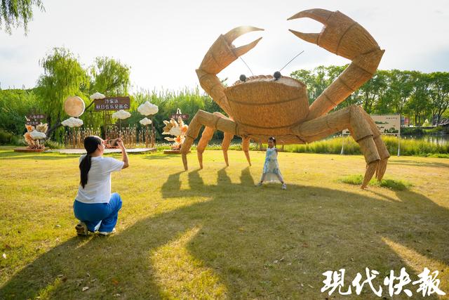 文旅融合绘就秋日盛景！第26届沙家浜大闸蟹美食文化季启幕