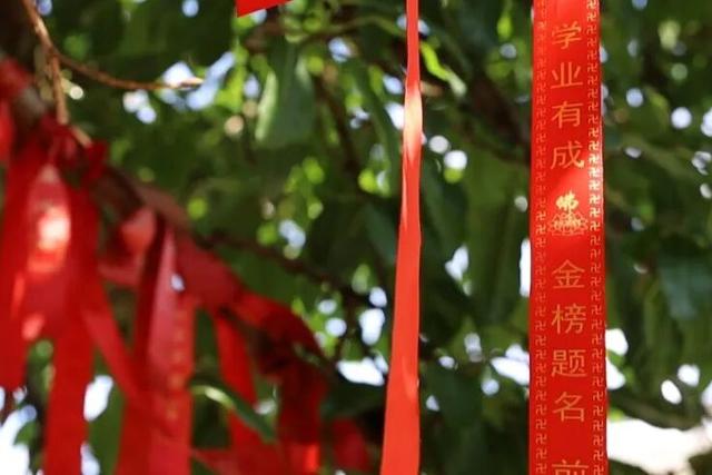 西充地名故事 | 九条渠