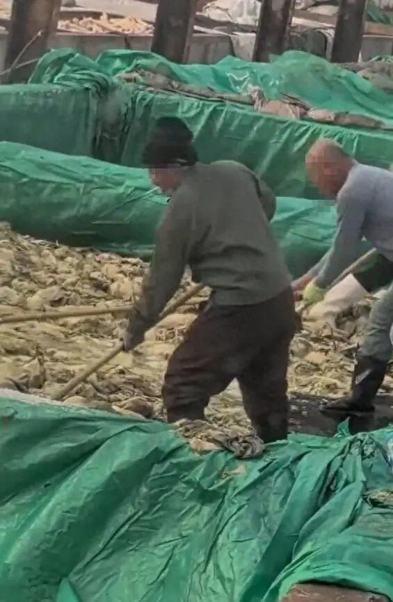辽宁兴城通报“男子在酸菜池中抽烟并吐痰”：该批次酸菜已被全部扣押，未流入市场，涉事企业正接受调查
