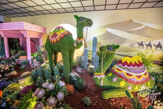 从8点堵到现在！杭州顶流回归