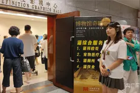 “夏”一站·趣上海  |  中国的“猫皇帝”也来看埃及法老  200只宠物猫齐聚首场上海博物馆奇“喵”夜图片