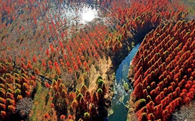 禁止入内，谢绝游览！昆明这个网红打卡点封闭管理