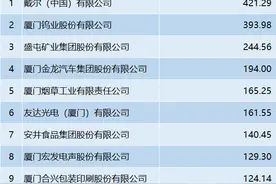 2024厦门企业百强系列榜单出炉！图片