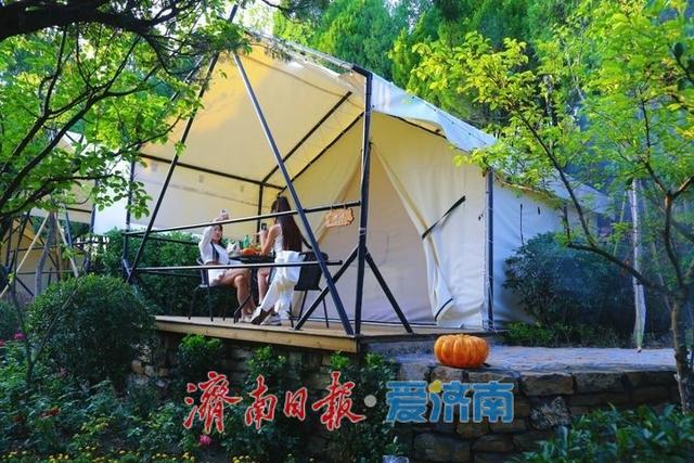 红叶谷夏日福利来袭：免票入园+帐篷露营+百合花海，还有勇敢少年夏令营等你来！