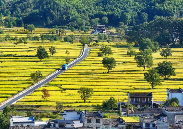 新华社出图·年度记忆｜永续的乡愁#(2)