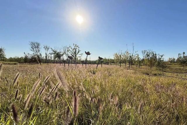 太美了！去北京这里赏“漫山红叶”｜周末京郊微度假