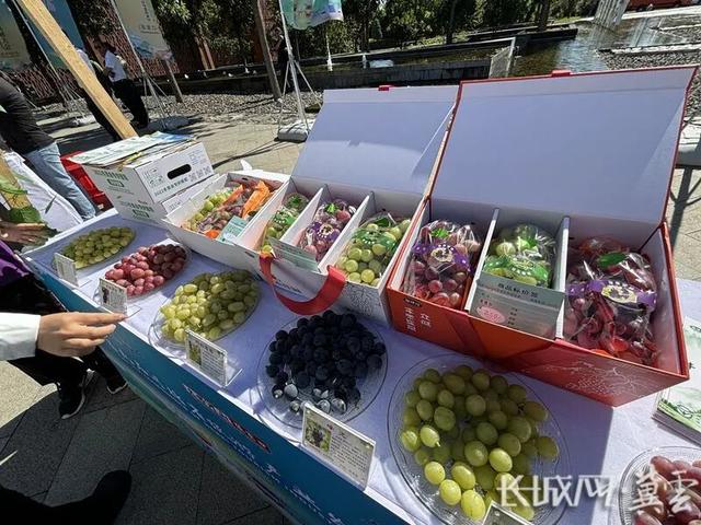 聚焦第九届河北省旅游产业发展大会张家口分会场|镜头下的怀来：“微醺”飘香 “好物”炫目