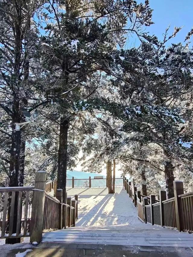 周末冲！成都这里又下雪了！