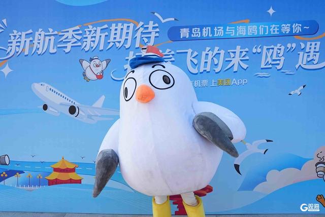 “航空+文旅”融合预热年末出游，青岛航旅推介活动走进潍坊