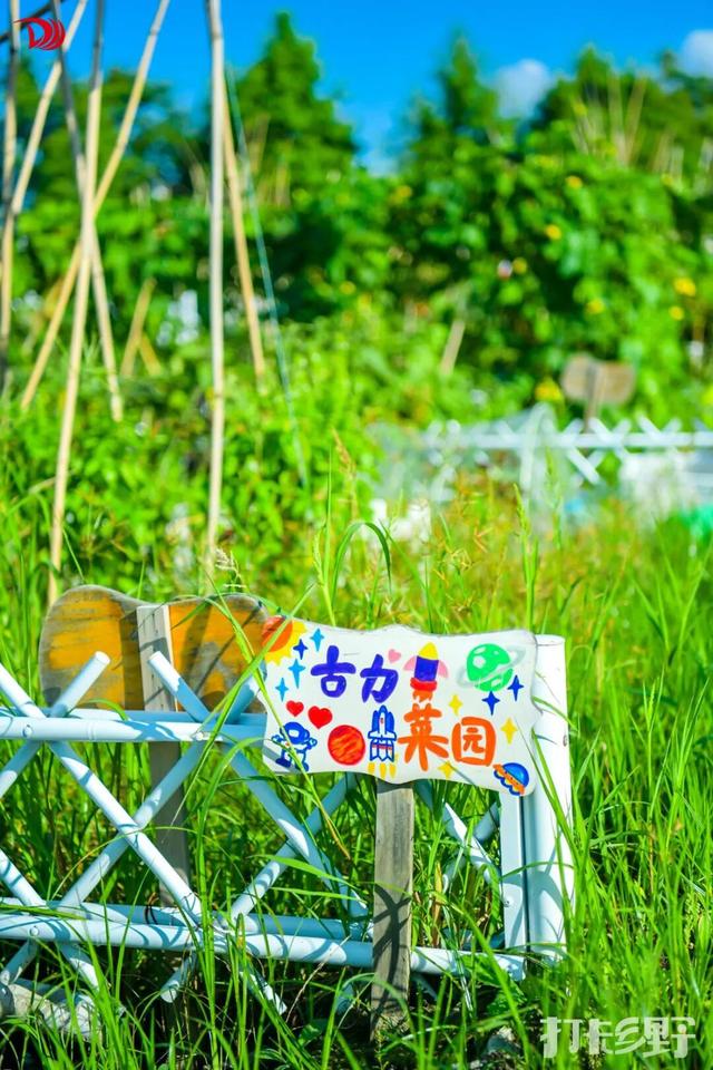 打卡乡野丨当云朵“坠”入窗沿，我在魔都近郊找到了现实版“归园田居”