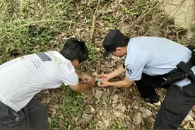 大眼“萌”禽“落难”，新昌生态警长出手相助图片