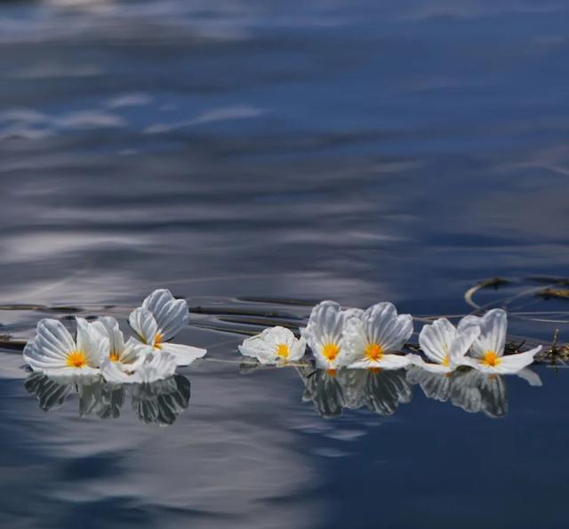 【冬季暖阳 凉山不凉】最全美食美景旅行攻略出炉！第一次来泸沽湖旅游必看！