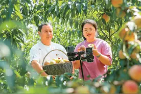 看！国家电商示范基地这样打造图片