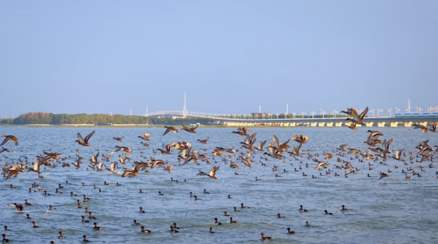 苏州吴江：上海向西半小时，遇见时尚“新江南”