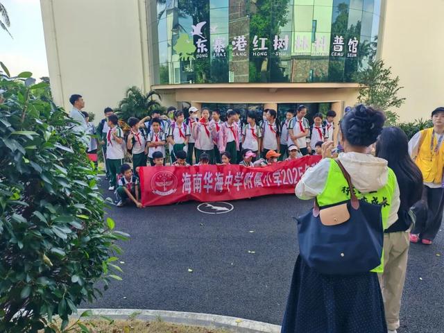 东寨港红树林研学进行时，自然课堂里的欢乐时光～