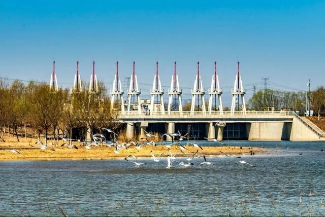 河畅、水清、岸绿、景美……宋庄蓄滞洪区二期开放！这里的“好”远超你想象！