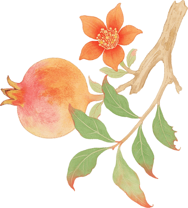 漫谈圆明丨圆明园的秋