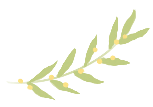 鲤阅自然·书香童行 | 观鸟寻踪亲子阅读体验活动招募中~