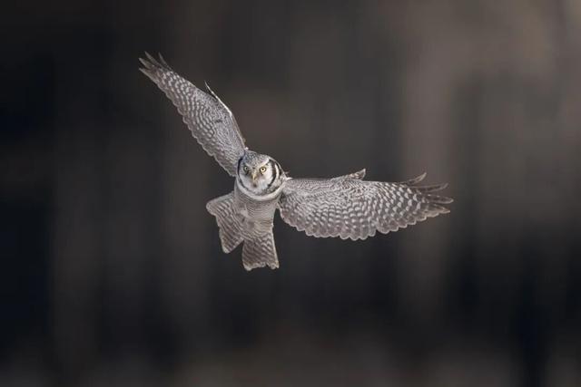 欢迎来到，秋天的廊道