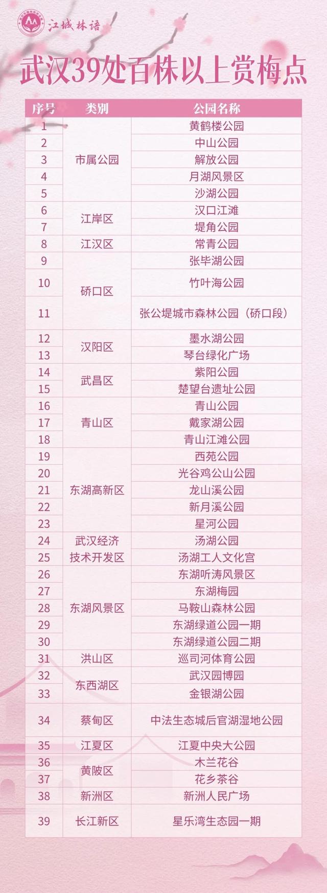 武汉梅花美到封神！官方赏梅地图请收好