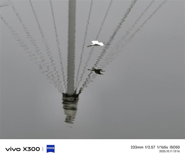 完美小屏影像旗舰！vivo X300手机评测：随手一拍就有德味 高阶技巧信手拈来