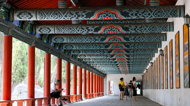 出色！洛阳这些最美场景等你解锁